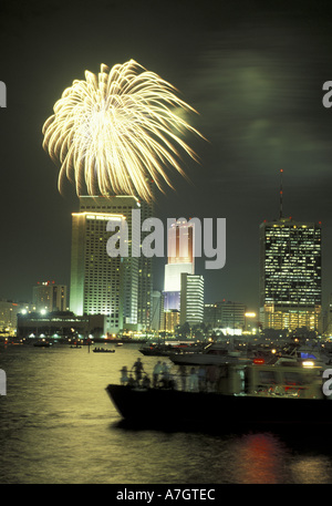 Nord America, USA, Florida, Miami. Fuochi d'artificio del 4 luglio su downtown Foto Stock