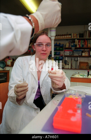 Gli alunni delle scuola secondarie studiare i campioni di DNA nella scuola esperimento. Foto Stock