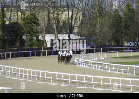Horse Racing su tutti meteo via a Kempton Park Foto Stock