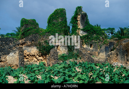 Nabahani rovine di epoca medioevale tra le piantagioni di tabacco, Siyu town, Pate isola dell'arcipelago di Lamu, Kenya Foto Stock