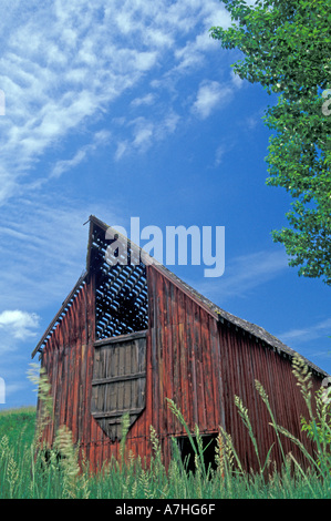 NA, STATI UNITI D'AMERICA, Idaho, Latah County, regione Palouse, granaio rosso in wheatfield Foto Stock