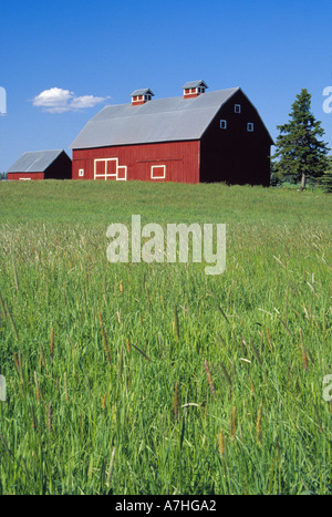 N.A. Stati Uniti d'America, Idaho, Latah County. Granaio rosso vicino a Jay Trattato. PR (MR) Foto Stock