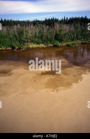 Incontro delle acque del fiume Tanana incontra il fiume Chena, Tanana River, Chena River, periferia di Fairbanks, Alaska, Stati Uniti, America del Nord Foto Stock