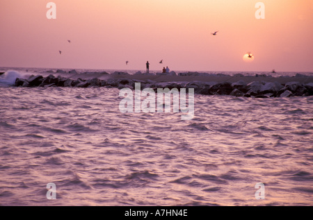 NA, STATI UNITI D'AMERICA, Michigan, Contea di Ottawa, Olanda, jetty nel lago Michigan, seagull e al tramonto Foto Stock
