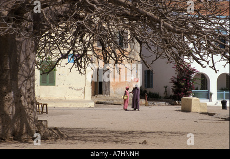 Baobab sulla piazza del mercato, isola di Goree Senegal Foto Stock