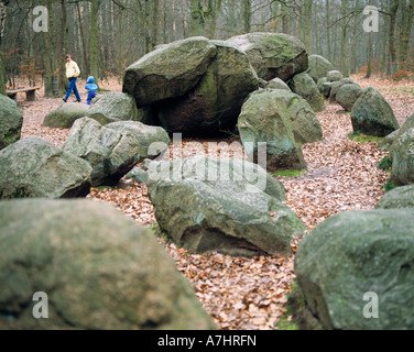 Megalithgrab 'Grosse Sloopsteine' im Tecklenburger Land, Muensterland, Renania settentrionale-Vestfalia Foto Stock