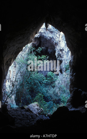 Grotta Chinhoyi Grotte Parco Nazionale di Chinhoyi Zimbabwe Foto Stock