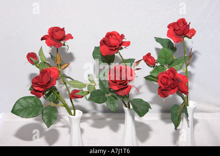 Sei rose rosse con fogliame in vasi bianchi contro uno sfondo bianco. Foto Stock