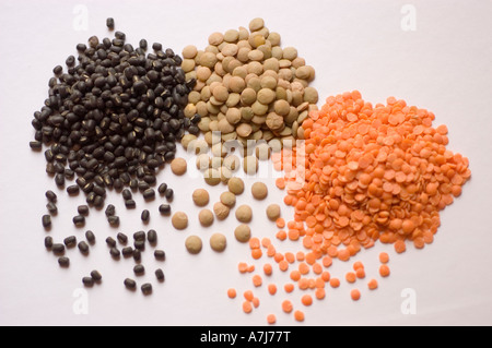 Primo piano di lenticchie gialle e nere su sfondo bianco, ingredienti essenziali per il piatto indiano dal Makhani, India. Foto Stock