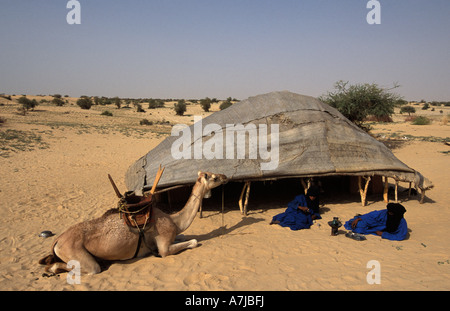 Il Tuareg bere il tè presso la fattoria nel deserto del Sahara, Timbuktu, Mali Foto Stock