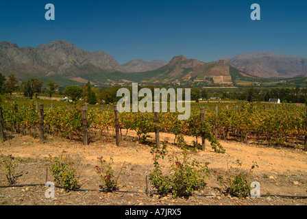 Il bellissimo paesaggio della Valle di Franschhoek area vinicola del Sud Africa Foto Stock