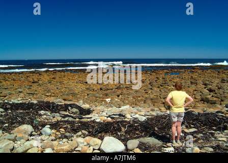 La costa rocciosa nei pressi di Capo di Buona Speranza Penisola del Capo Sud Africa Foto Stock