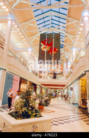 Dubai EMIRATI ARABI centro commerciale di Burjuman Foto Stock