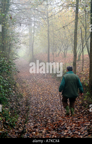 Tartufo bianco e di scavo il suo cane nella foresta in Piemonte Italia Foto Stock