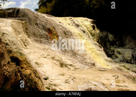 Bridal Veil Falls Wai-O-Tapu Rotorua Isola del nord della Nuova Zelanda Foto Stock