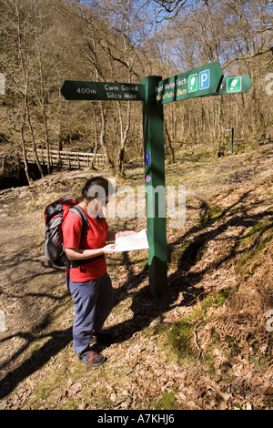 Il camminatore femmina con mappa al cartello vicino Swgd Gwladys Parco Nazionale di Brecon Beacons Wales UK Foto Stock