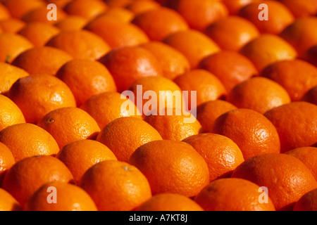 Menton Fete des Citrons Paca Alpes-Maritimes 06 French Riviera Cote d Azur Francia Europa Foto Stock