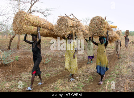 Etiopia - donne della tribù Nuer portano la paglia per la costruzione del tetto sulle loro teste Foto Stock