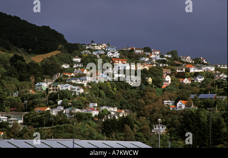 Nuova Zelanda Wellington vista dal traghetto Inter Island Foto Stock