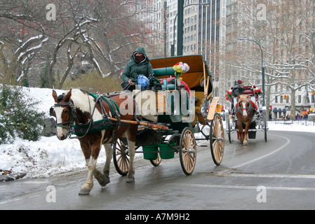 Cavallo e Carrozza. Autista avvolto contro il freddo. Central Park. La città di New York. In inverno la neve. Stati Uniti d'America. Foto Stock