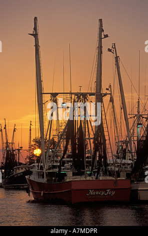 Tarpon Springs Florida USA Agosto 2003 Sunset over gamberetti è ormeggiato a Tarpon Springs Foto Stock