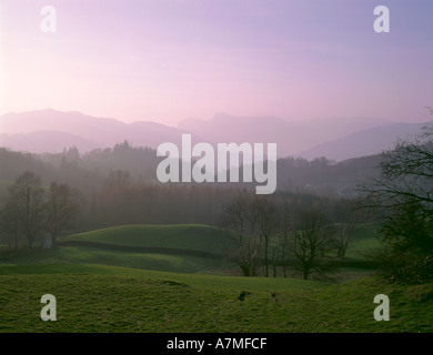 Vista sulla montagna; Langdale Pikes visto da vicino a Elterwater, Parco Nazionale del Distretto dei Laghi, Cumbria, Inghilterra, Regno Unito. Foto Stock