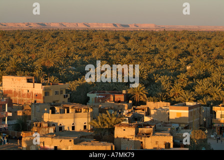 Oasi di Siwa dalla città vecchia di Shali, Egitto Foto Stock