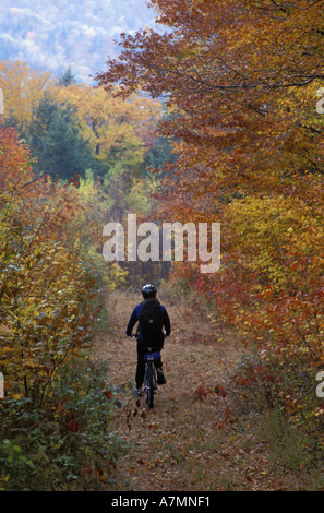 America del Nord, noi, NH, Mountain Bike su una vecchia strada di registrazione vicino a Loon Mountain in Lincoln. Caduta. (MR) Foto Stock