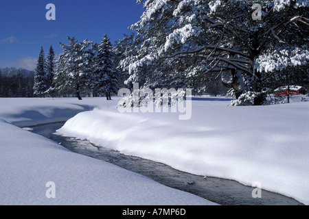 America del Nord, noi, NH, Winter Scenic. Flussi. White Mountains. Marzo. Foto Stock