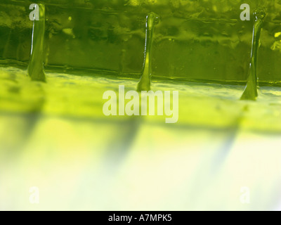 Jelly jella con retroilluminazione a cubetti Foto Stock