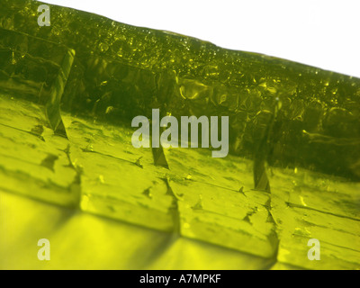 Jelly jella con retroilluminazione a cubetti Foto Stock