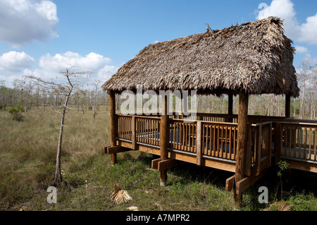 Capanno di osservazione e la piattaforma Big Cypress National Preserve florida usa stati uniti Foto Stock