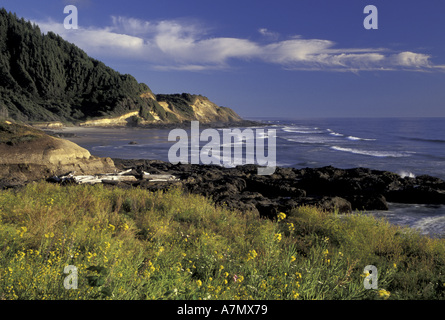 NA, STATI UNITI D'AMERICA, Oregon, vicino a Newport. La costa e Seal Rock; pomeriggio invernale Foto Stock