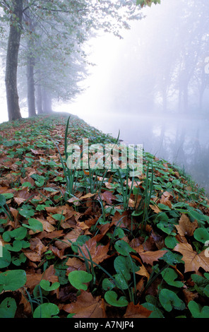 Francia, Tarn et Garonne, canale laterale Foto Stock