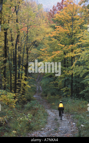 Vermont, montagne verdi, Wardsboro, mountain bike sulla vecchia strada di registrazione, il versante nord della collina di riso (MR) Foto Stock