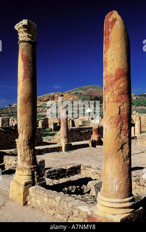 La Tunisia, regione settentrionale, Mejerda altopiano, Bulla Regia sito archeologico, la casa di caccia Foto Stock