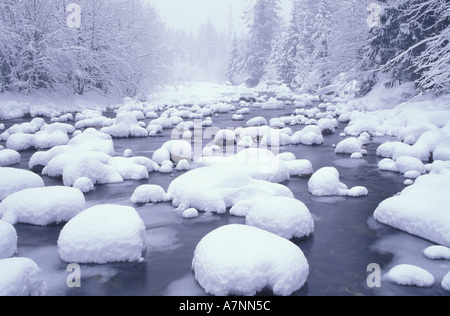 Nord America, Stati Uniti d'America, Washington, Cascade Mountains, neve fresca lungo Denny Creek Foto Stock