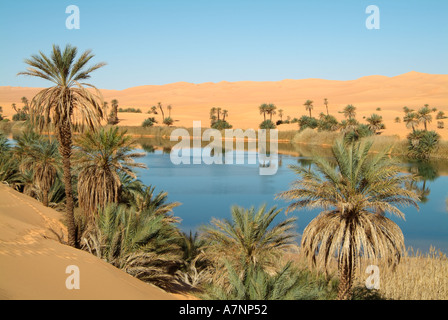 Umm al-Maa Lago (Ubari Laghi), Oasi nel Idehan Ubari mare di sabbia, il Deserto del Sahara, Libia Foto Stock