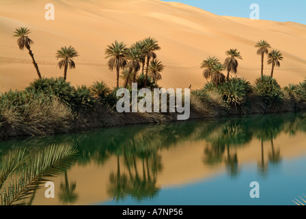 Umm al-Maa Lago (Ubari Laghi), Oasi nel Idehan Ubari mare di sabbia, il Deserto del Sahara, Libia Foto Stock