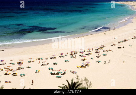 Spagna Isole Canarie Fuerteventura Island, Corralejo Beach Foto Stock