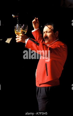 Spagna, Andalusia, Jerez de la Frontera, il Jerez Gonzalez Byass cantina specialista (controllo della qualità del vino) Foto Stock