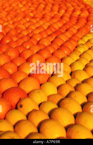 Menton Fete des Citrons Paca Alpes-Maritimes 06 French riviera Cote d Azur Francia Europa Foto Stock