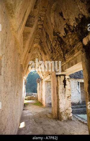 Palenque, Provincia nel Chiapas, Messico Foto Stock