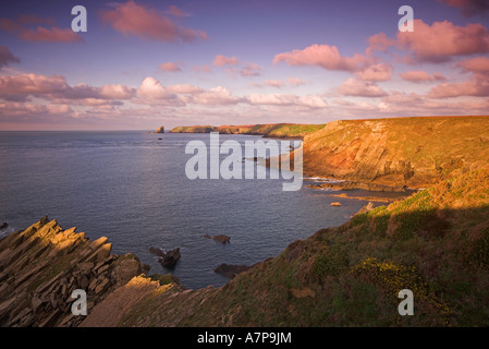Punto Wooltrack & Skomer Island, Pembrokeshire sentiero costiero,Pembrokeshire, Wales, Regno Unito Foto Stock