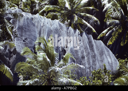 Spiaggia con scogli di granito, Seychelles, La Digue Foto Stock