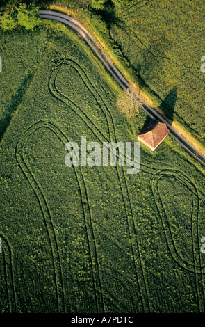 Francia, Dordogne, un campo di grano in estate (vista aerea) Foto Stock