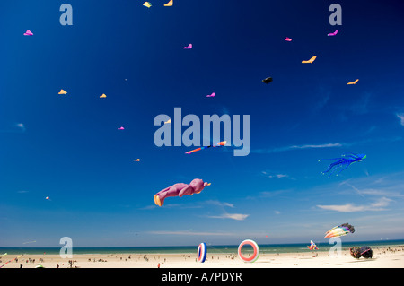 Berck sur Mer International Kite Festival Francia Foto Stock