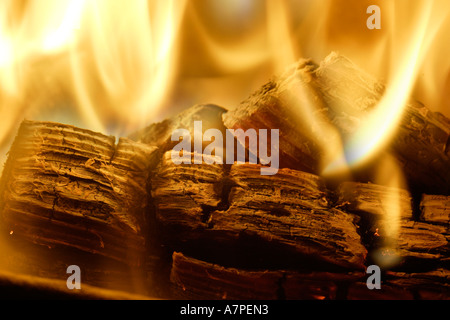 Incendio in un luogo di fuoco Foto Stock