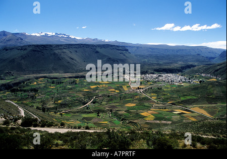 Il Perù, Dipartimento di Arequipa, terrazze Incas del Canyon del Colca Foto Stock