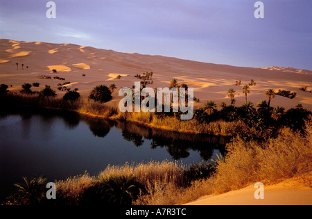 Libia, regione del deserto, Fezzan (Sahara), ERG Ubari, Oum El Ma il lago Foto Stock